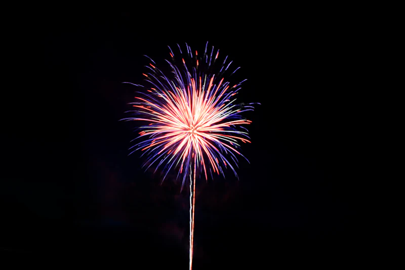 Violet firework bloom in the sky